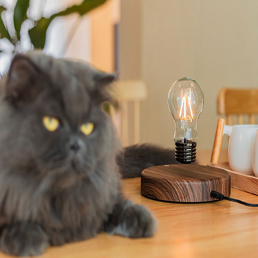 Levitating Edison LED Desk Lamp – Magnetic Floating Bulb